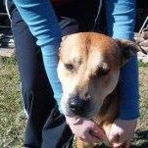 Meet your Posher, Lynne